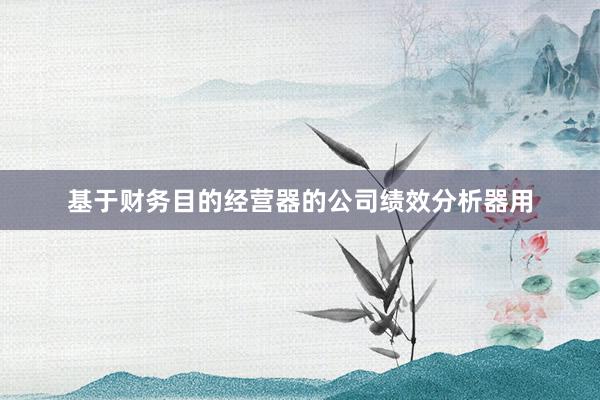 基于财务目的经营器的公司绩效分析器用