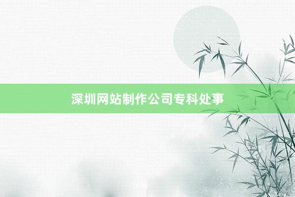 深圳网站制作公司专科处事