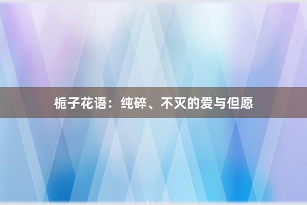 栀子花语：纯碎、不灭的爱与但愿