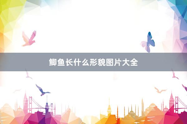 鲫鱼长什么形貌图片大全