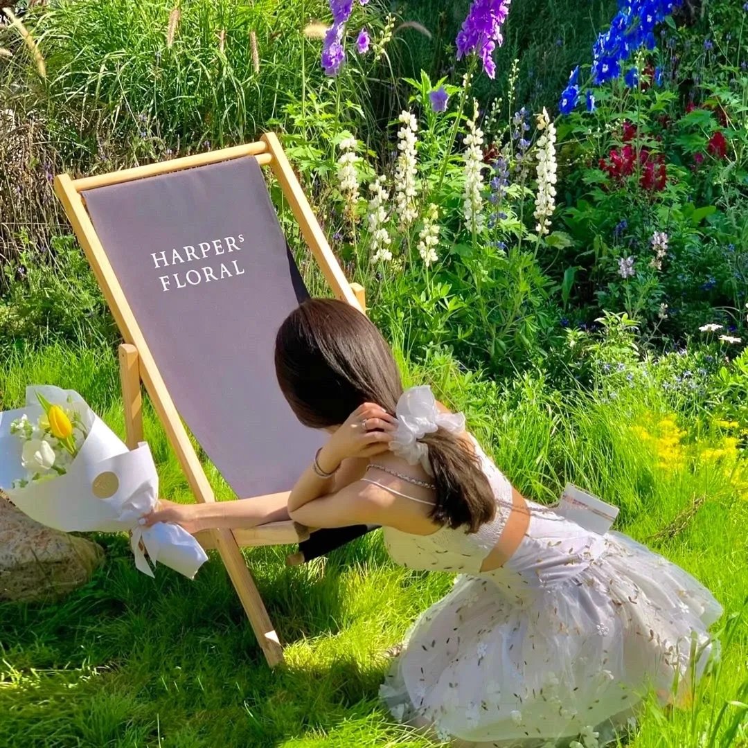 骗徒臭事多国语